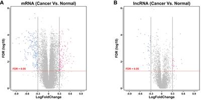 Revealing the Role of lncRNA CCDC144NL-AS1 and LINC01614 in Gastric Cancer via Integrative Bioinformatics Analysis and Experimental Validation